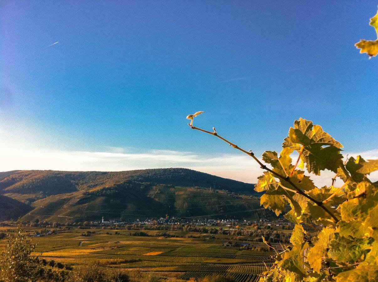 Gaestehaus Weingut Meierer Kesten 外观 照片